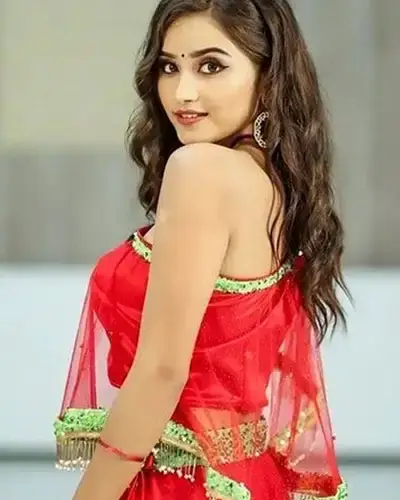 Call Girls Service Panisagar