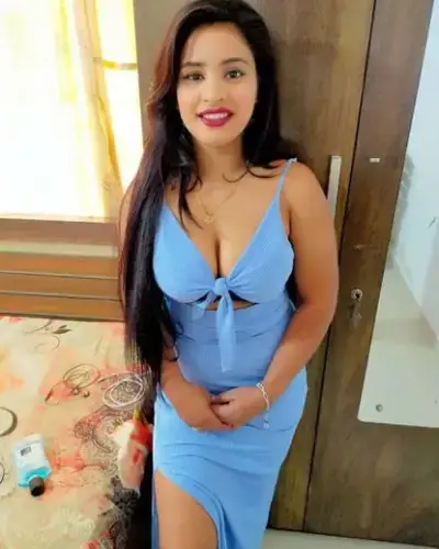 Panisagar Escorts